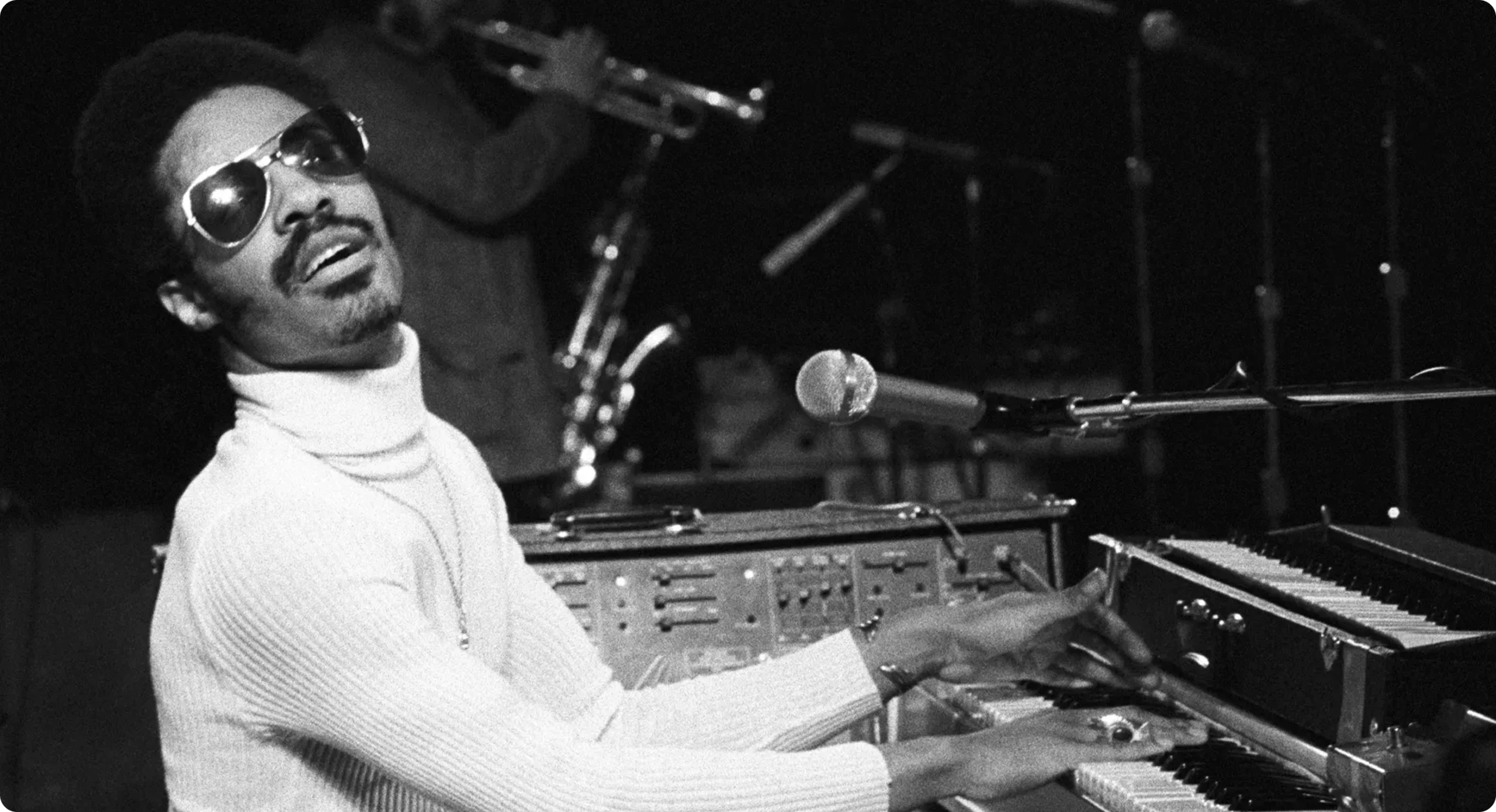 Stevie Wonder